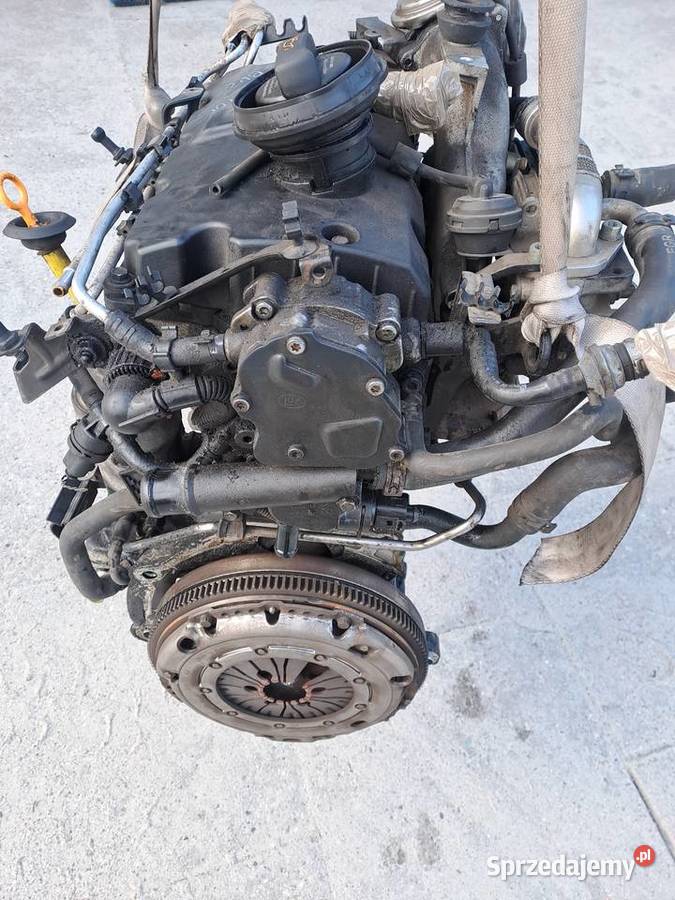 Audi A3 8P 19 TDi silnik kompletny kod BKC BXE Jastrzębie-Zdrój