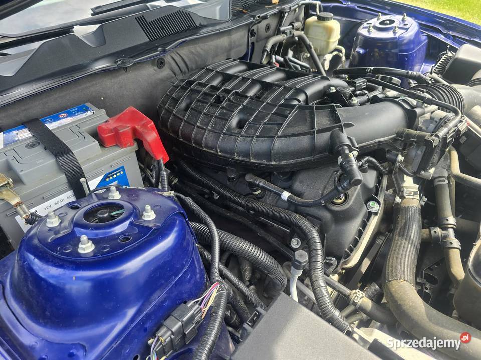 Ford Mustang Premium Pony Łódź