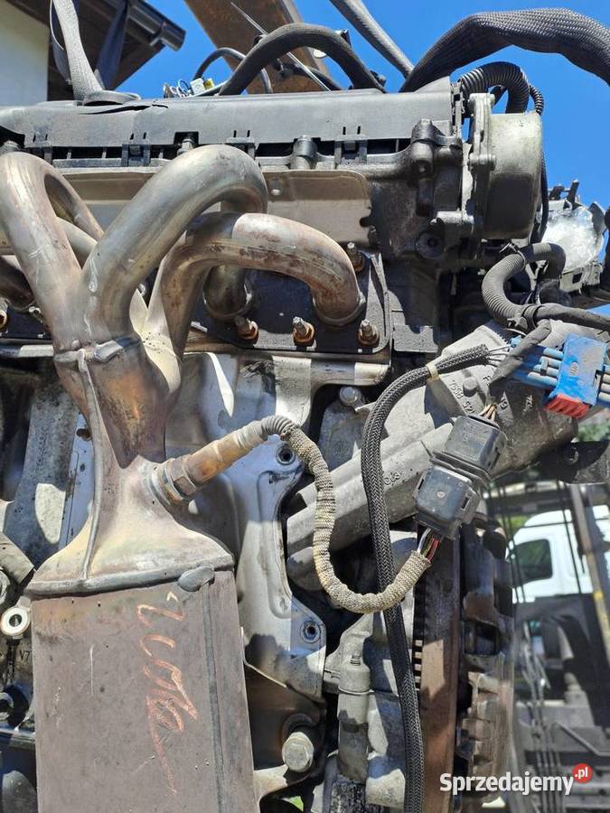 Citroen Peugeot 14 16V VTi 95 silnik kompletny osobowe Jastrzębie-Zdrój sprzedam