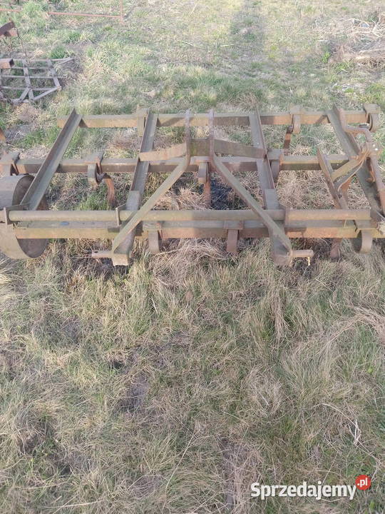 Brony 3 polowe Piątek