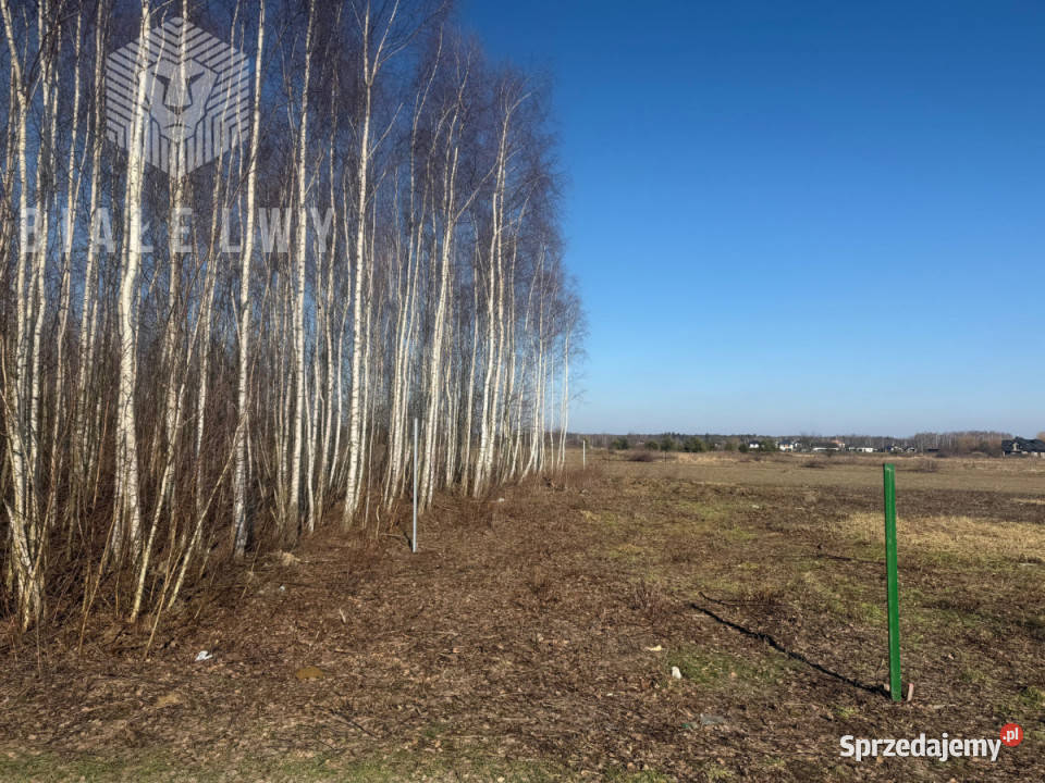 Grunt Walendów 1300m 400zł/m2