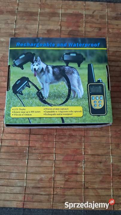 Obroża psa na pilota