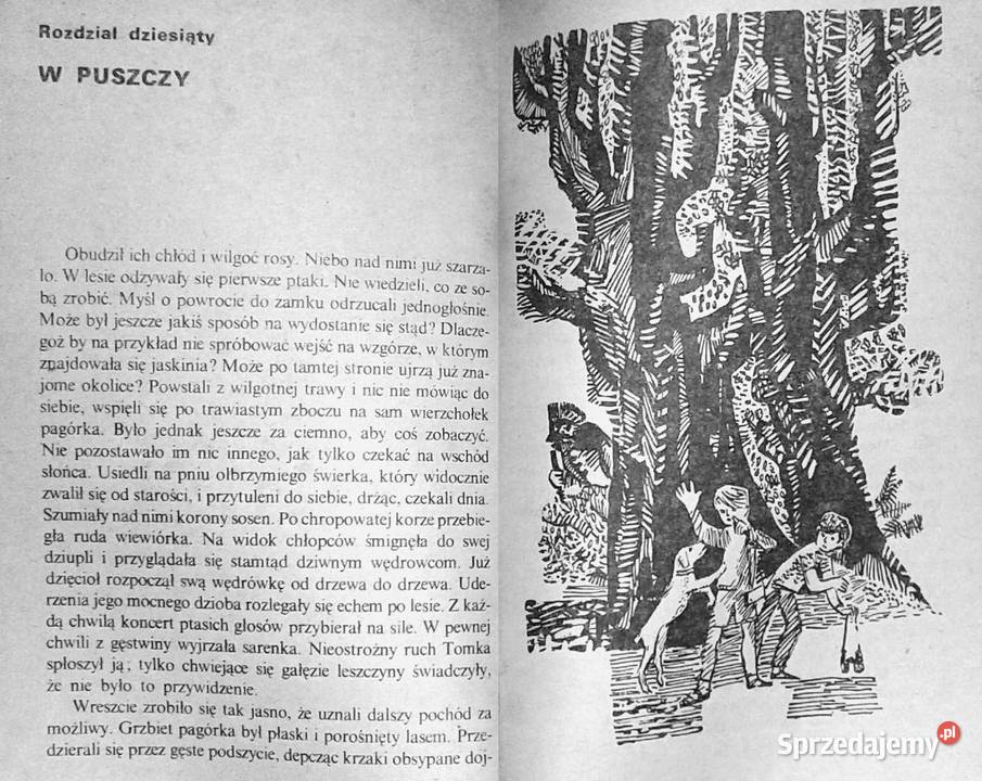 Więźniowie Skalnego Grodu Stanisław Pagaczewski lubelskie Chełm sprzedam