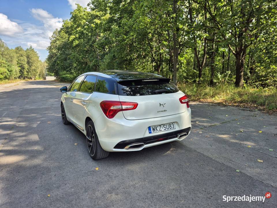Ds5 hybryda Pionki