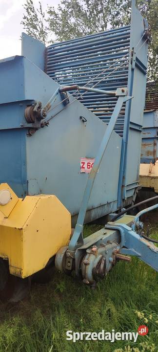 Anna Z 644 Krone