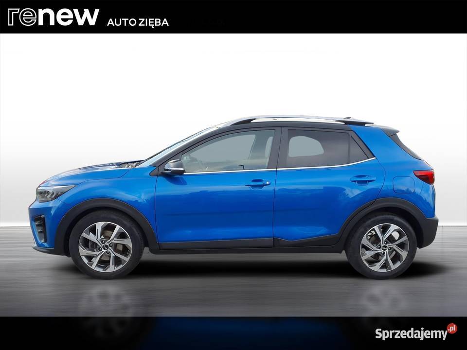 Stonic 10 TGDI GT Line nawigacja