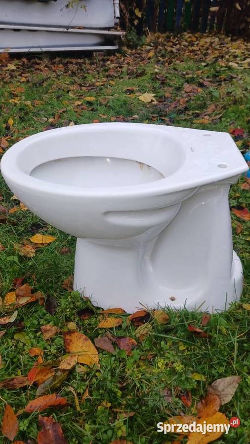 Muszla klozetowaspluczka i deska Chełm sprzedam