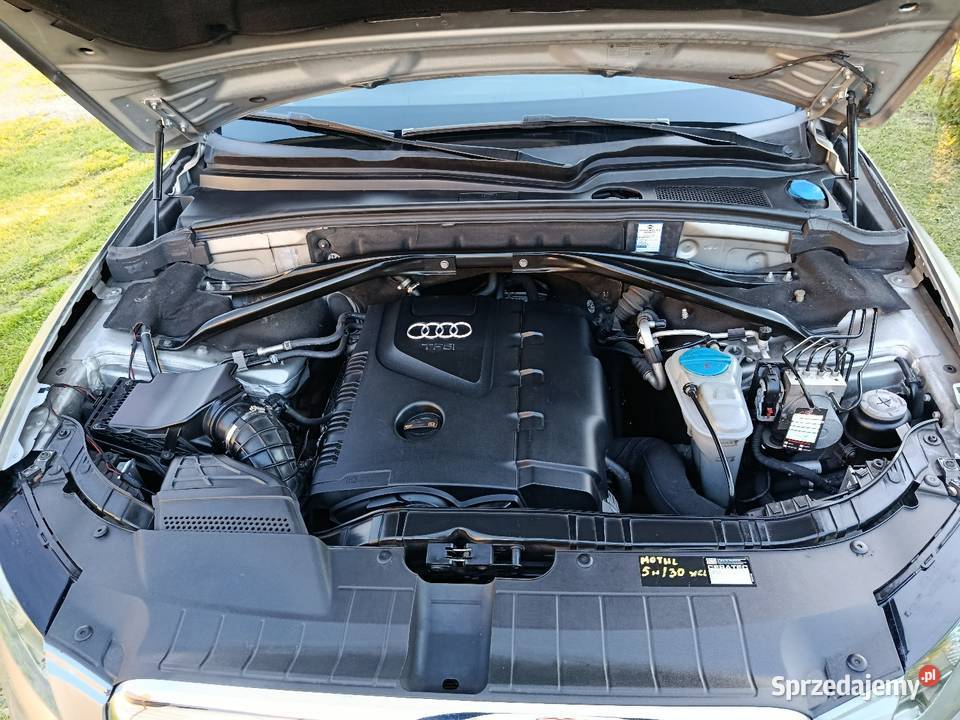 Audi Q5 hak