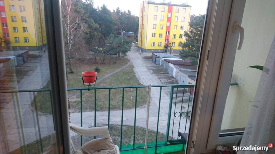 Mieszkanie w Stąporkowie Stąporków