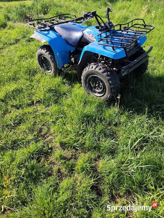 Yamaha big bear Brnik