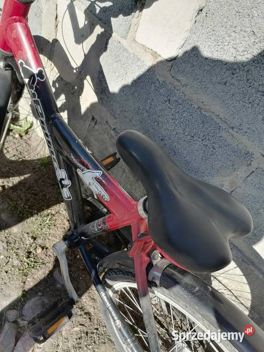Rowerek dziecka 20" wielkopolskie