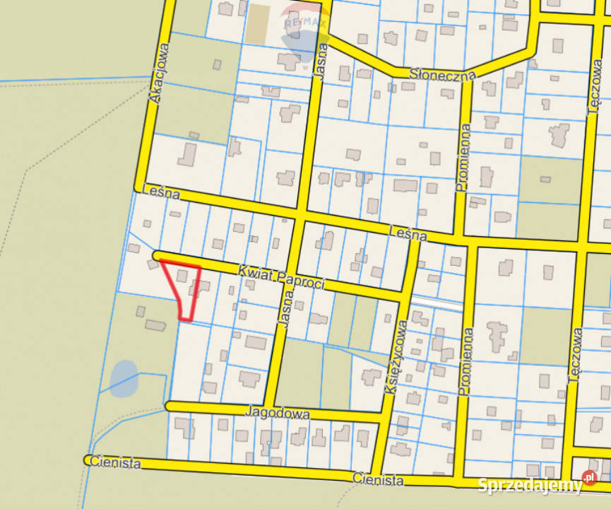 Działka zabudowana Zalesie Górne Kwiat Paproci