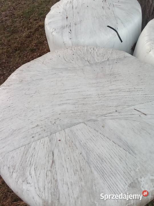 Sianokiszonka łódzkie