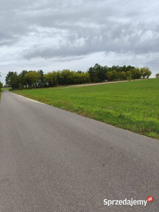 Sprzedam dz budowlane na wzgórzu z pięknym 36m Pomiechówek