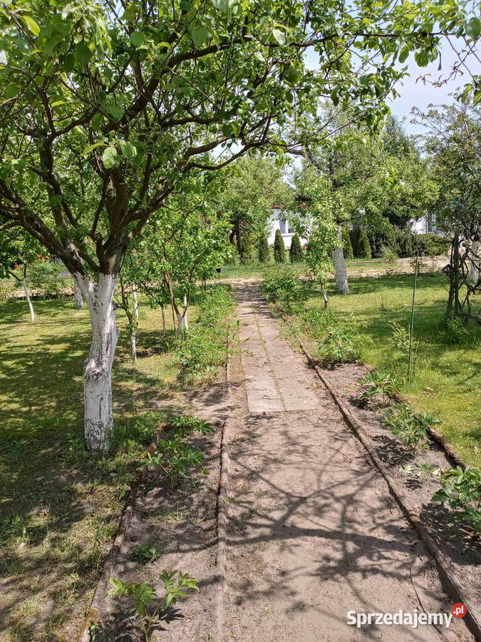 SPRZEDAM DZIAŁKE ROD wielkopolskie Śrem