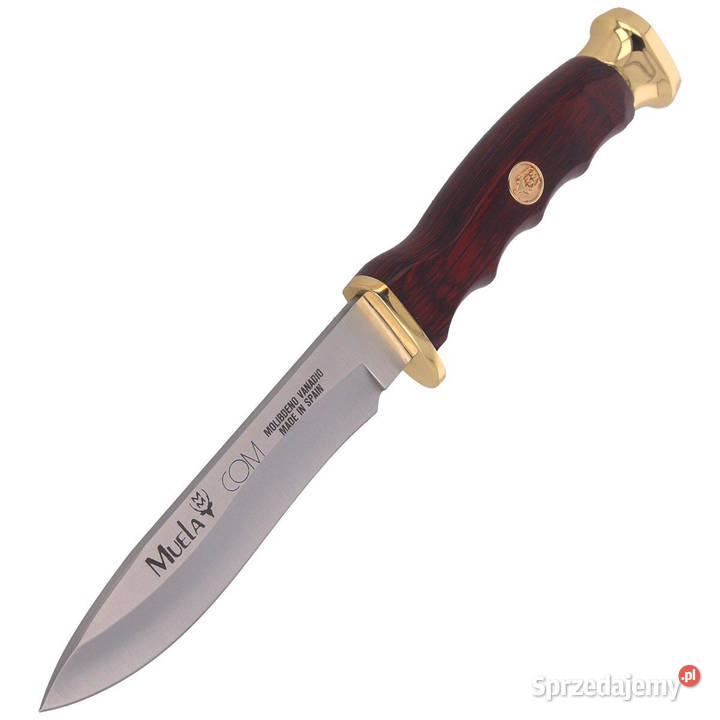 Nóż Muela COMF10 Pakka Wood Satin X50CrMoV15 mazowieckie sprzedam