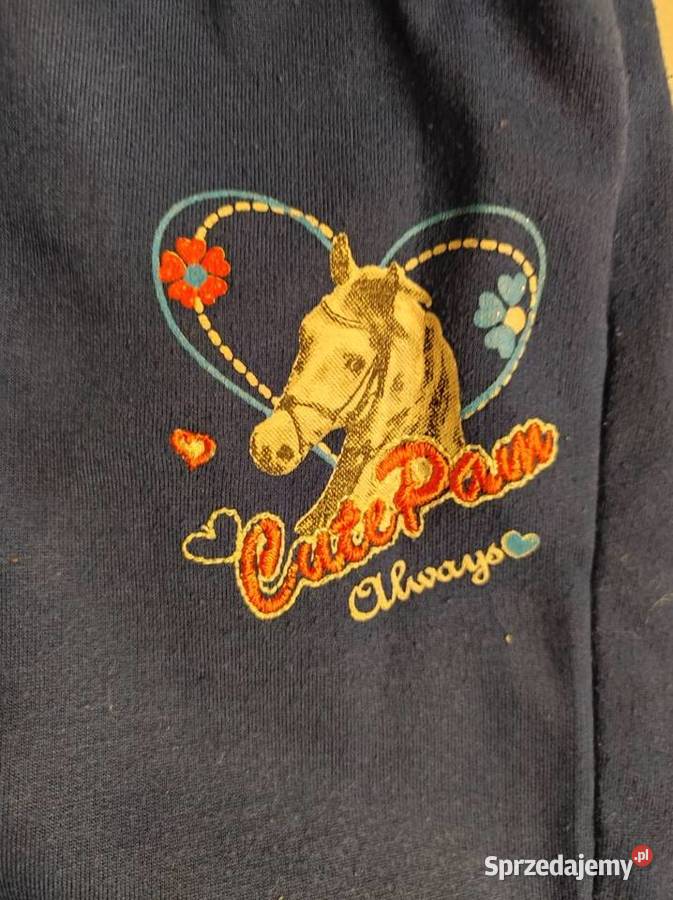 spodnie dresowe sportowe bawełniane dziewczynki 7 lat+ świętokrzyskie Kielce sprzedam