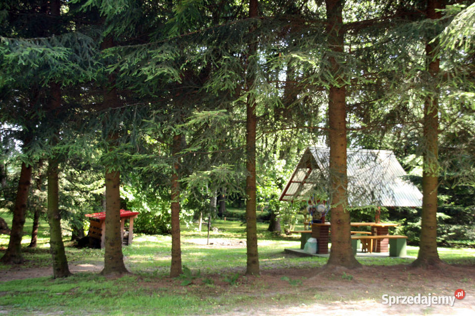Działka o pow 9690 m2 z własną linią brzegową Dubeninki