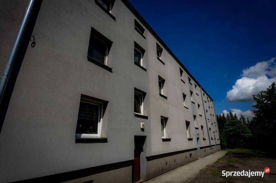 Mieszkanie w doskonałej lokalizacji idealne na Liczba pokoi 1 Sprzedaż śląskie Zabrze