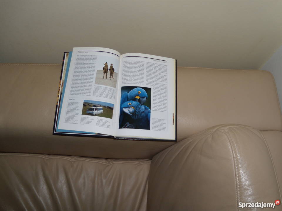 Dusze zwierząt Nicholas J Saunders