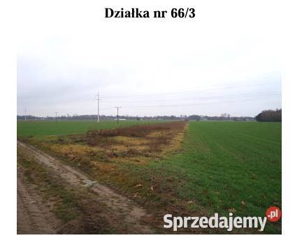Syndyk Sprzeda Działki w miejscowości Krępa łódzkie
