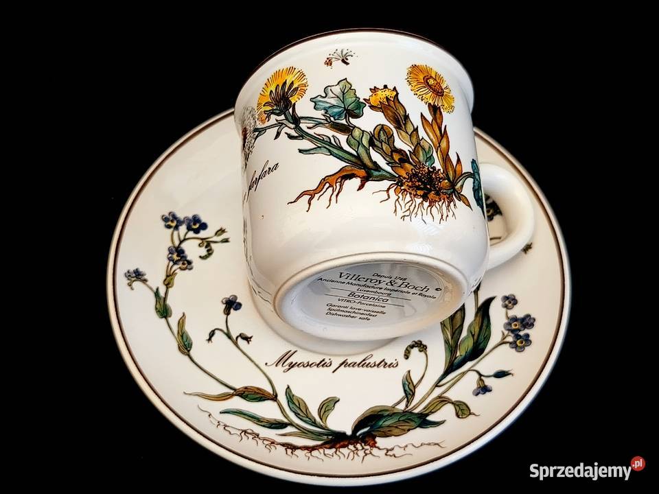 Zestaw kawowy Villeroy Boch Botanica Chełm sprzedam