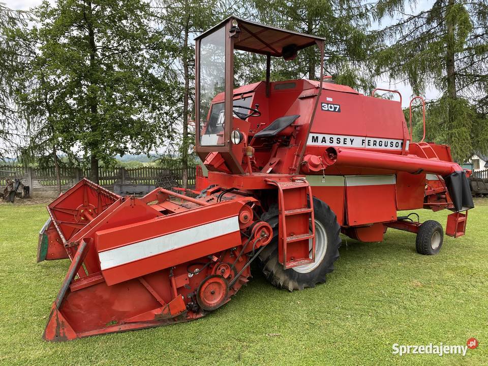 Massey Ferguson MF 307 Massey Ferguson Lubcza sprzedam