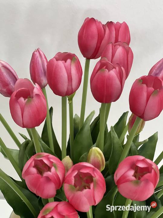 Bukiet tulipanów gumowych 7 sztuk Premium kolor Golkowice