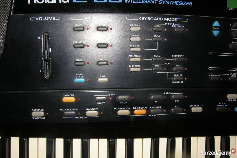 roland e86 Dąbrowa Górnicza