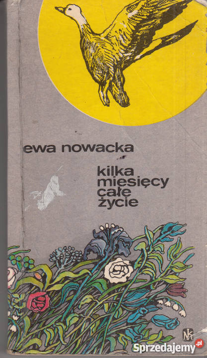 03052 KILKA MIESIĘCY CAŁE ŻYCIE EWA NOWACKA Czyrna sprzedam