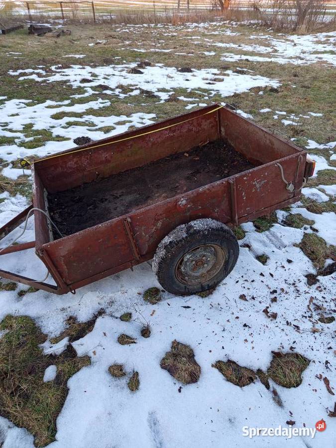 Przyczepka samochodowa sam Do samochodów osobowych Chełm