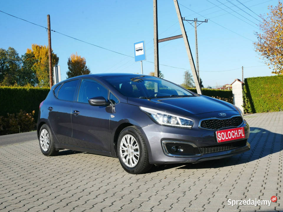 Kia Ceed FL 10TGDI 100 Eu6 Titan Serwisy do Goczałkowice-Zdrój