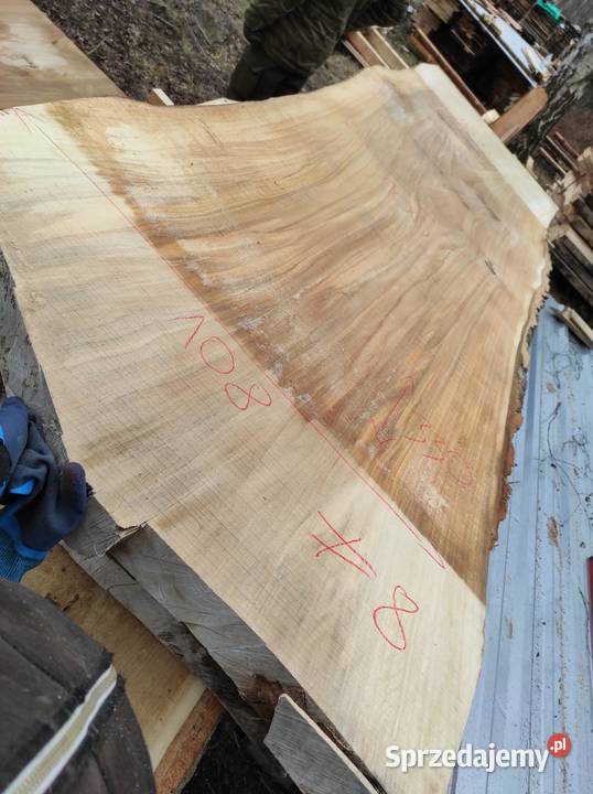 Monolit topola240x124x115x10 dąb jesion klon Przysucha sprzedam