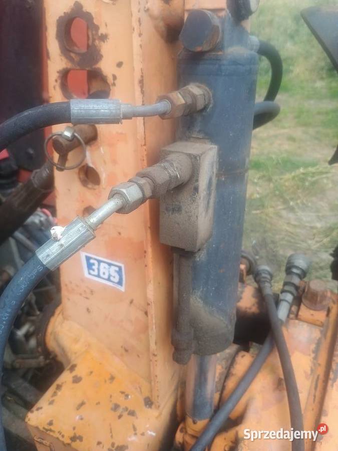 Huard kuhn wielkopolskie
