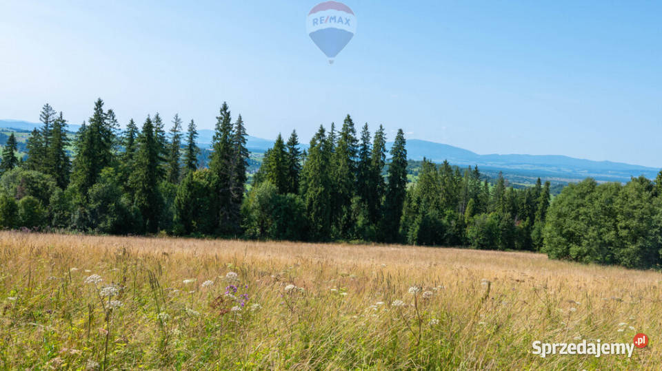 Twój kawałek natury z widokiem na Tatry Dzianisz
