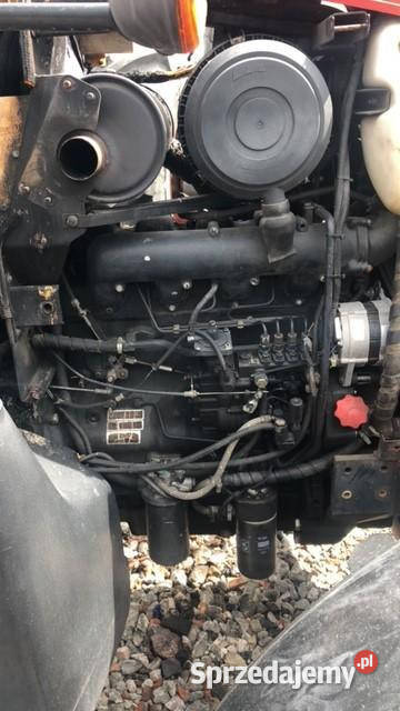 Zetor Forterra 12441 silnik Pozostałe Jastrzębniki