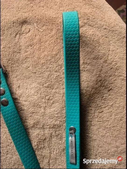 Smycz Pomerdana Gdańsk