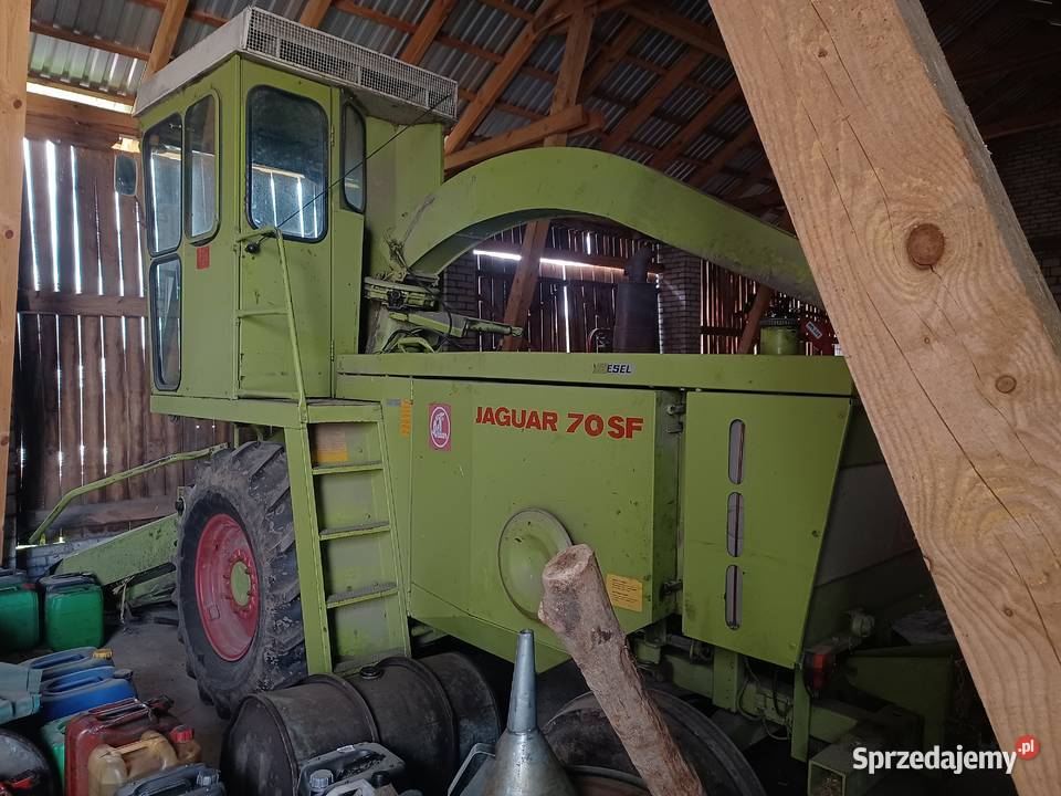 Sieczkarnia Samojezdna Claas Jaguar 70SF 3 rzędy Rzeczyca