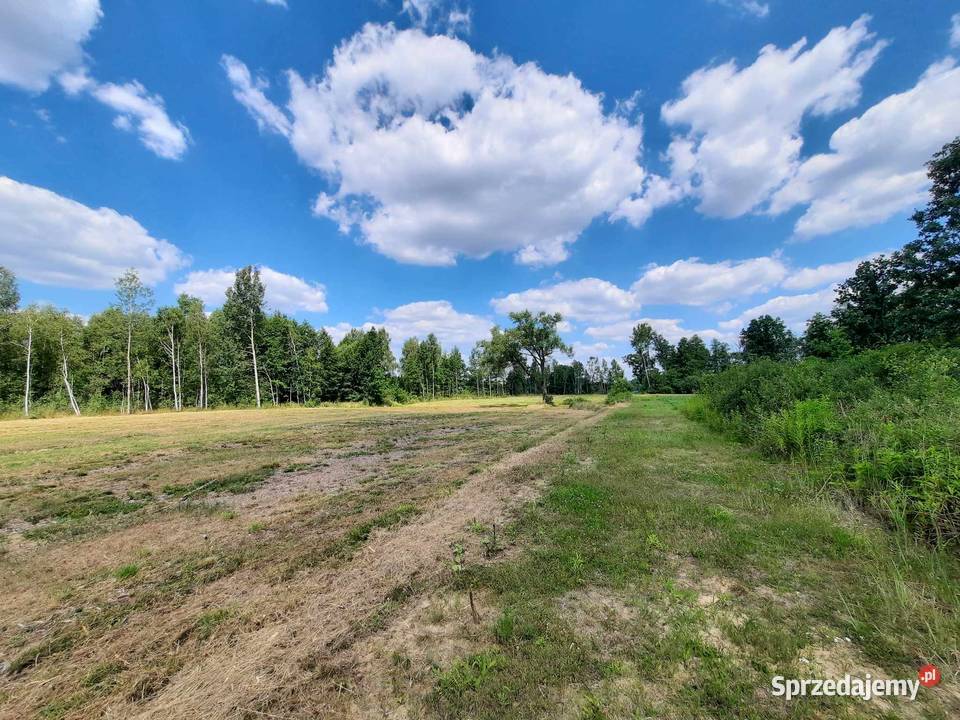Sprzedam dwie działki Wołomina 34 ha Cięciwa Wołomin sprzedam