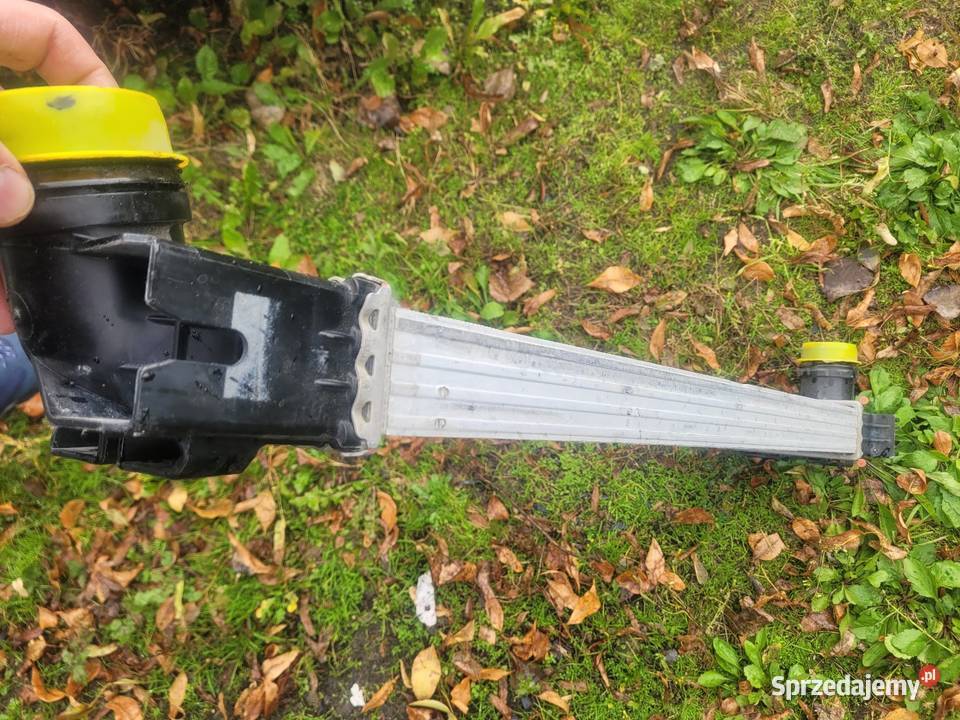 Chłodnica intercooler Renault Master 3 OEM Katowice sprzedam