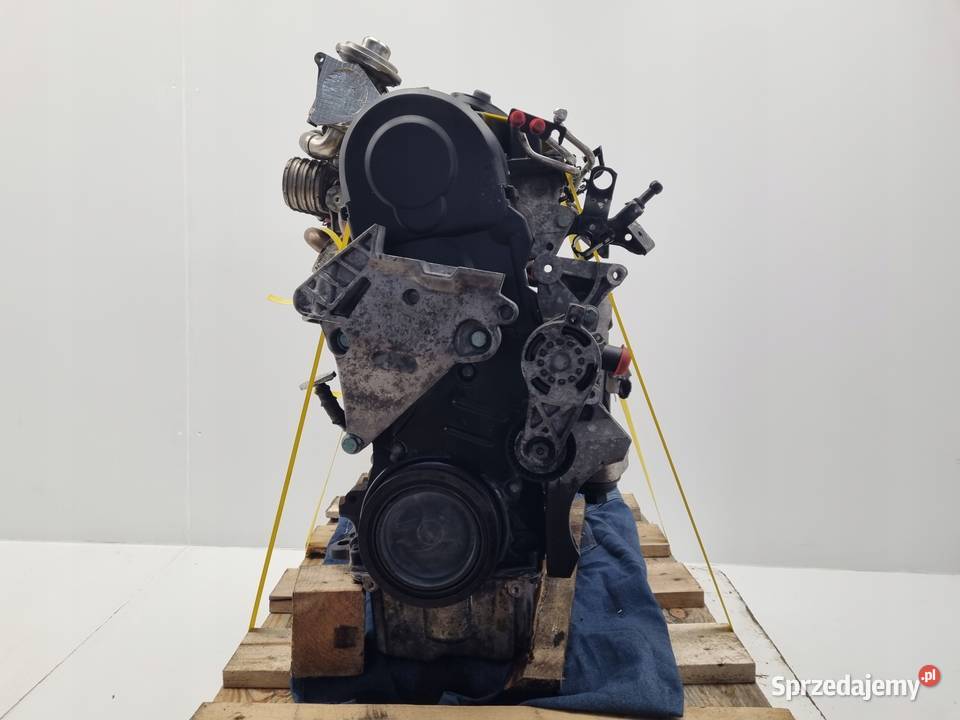 SILNIK Audi A3 II 8P Skoda Octavia II 19 TDI 105 osobowe lubelskie Rudka