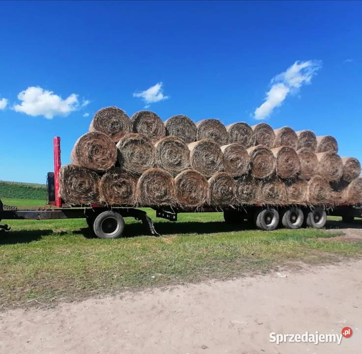 Naczepa z wózkiem Przyczepa do balotow wózek sprzedam