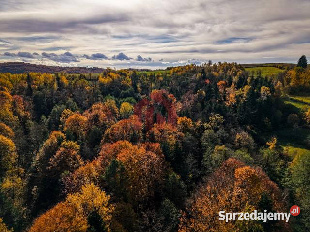 Ogłoszenie dom 156m2 Smarżowa Sprzedaż podkarpackie sprzedam
