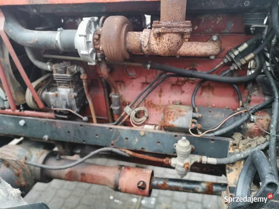 Ursus 1634 1614 1604 1224 zetor 16245 16145 łódzkie Buczek
