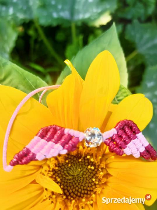 Bransoletki skrzydła Bukowina Tatrzańska