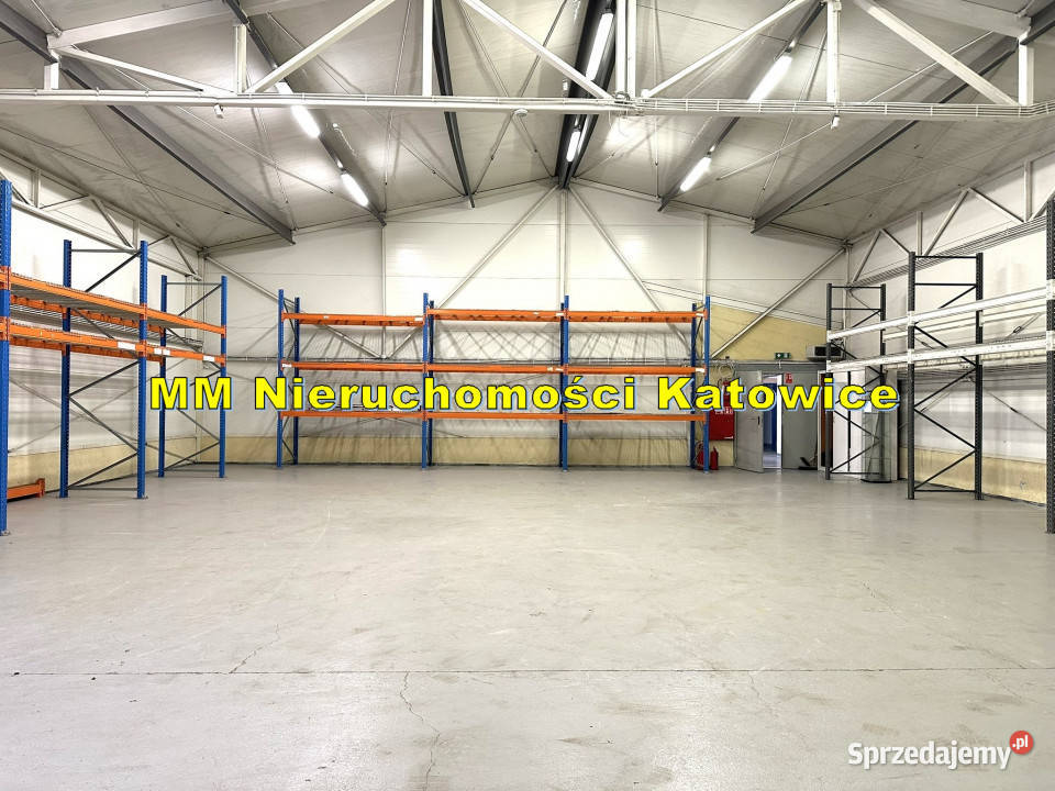 Magazyn biura i część handlowa i wystawowa do 620m2 Wynajem Katowice