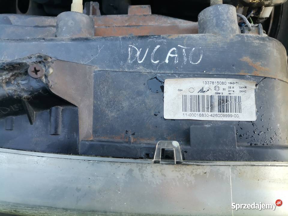 Lampa Prawa Przód Fiat Ducato II Części samochodowe Wisznice sprzedam