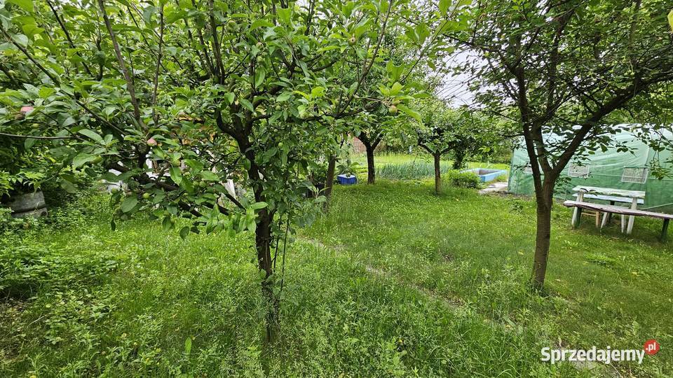 Sprzedam działke ROD świętokrzyskie Ostrowiec Świętokrzyski sprzedam