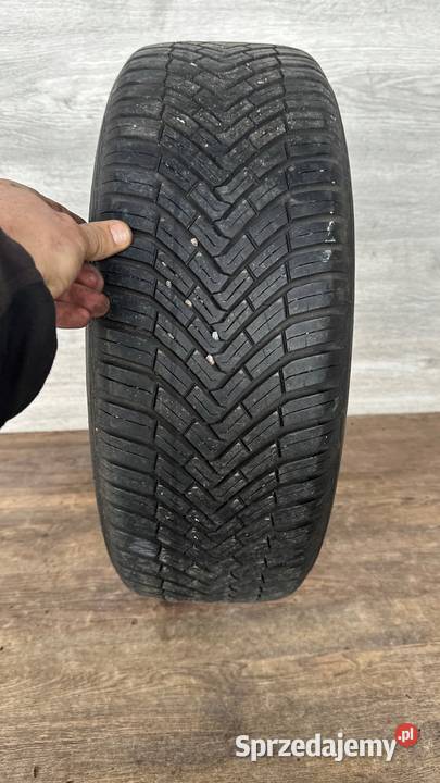 opona całoroczna 20555R16 Continental AllSeason