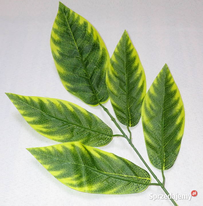 Liście ozdobne 5 na gałązce Zx1 Siewierz
